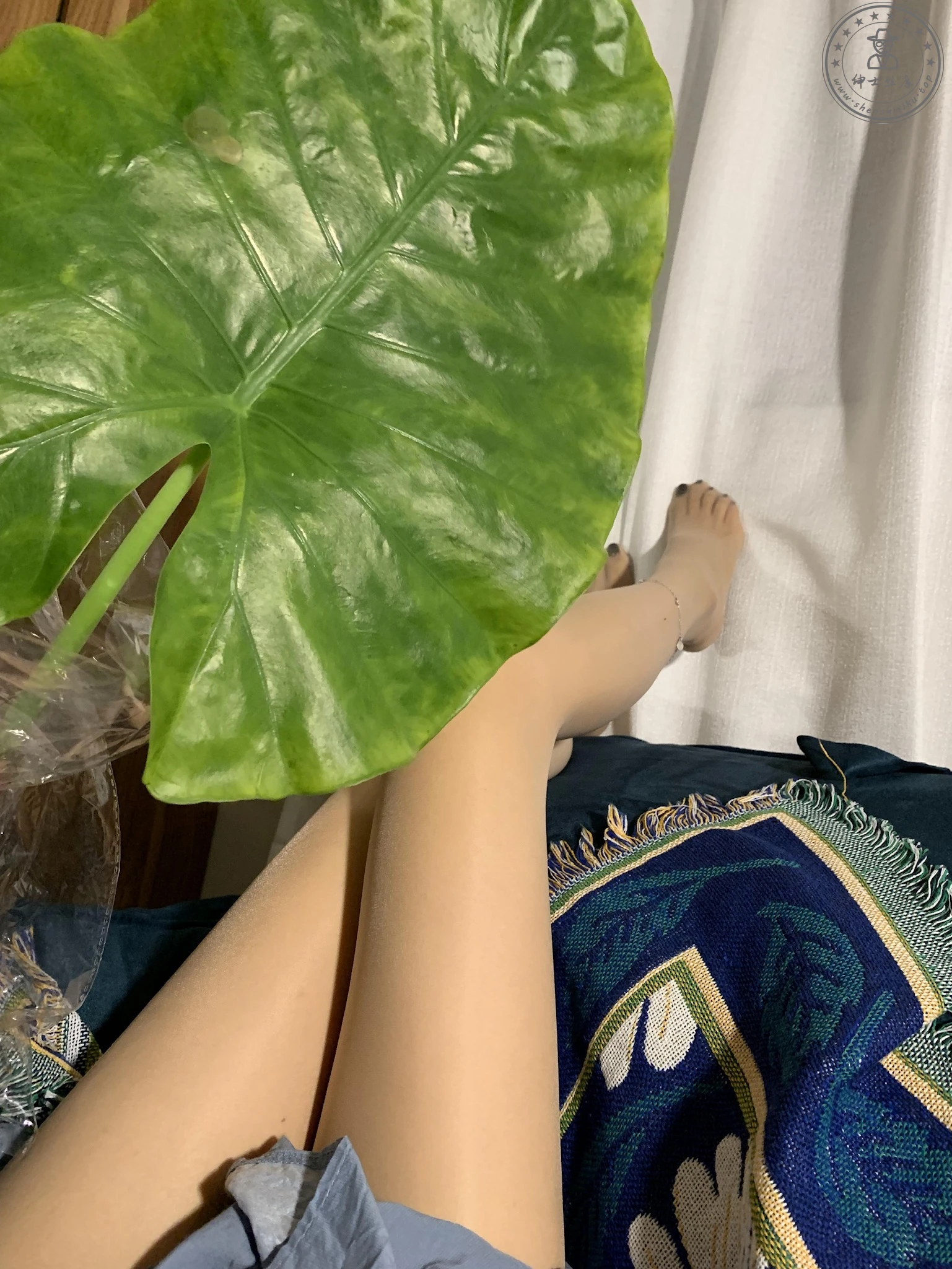 001桃脱了-微信朋友圈及专场系列图片-第一部分[469P]